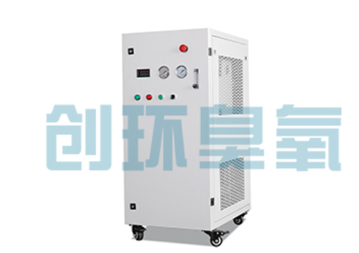 保亭石斑鱼养殖水质调控完整指南：臭氧发生器配置与操作步骤
