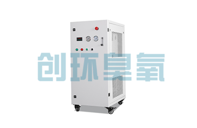 保亭比传统换水更高效？臭氧发生器在石斑鱼养殖中的水质净化原理解析