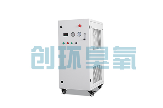 保亭比传统换水更高效？臭氧发生器在石斑鱼养殖中的水质净化原理解析